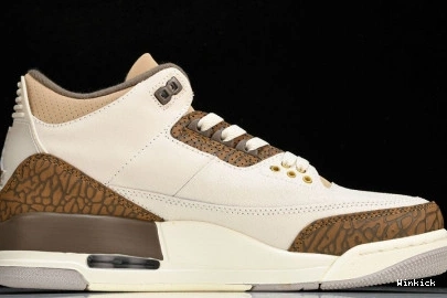 Jordan Air 3 CT8532-102 "Palomino" 1019